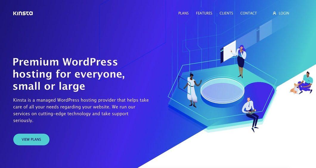 Kinsta Homepage Screenshot