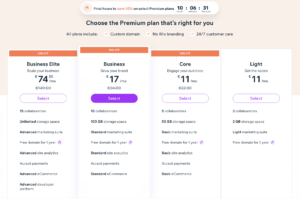 Bluehost vs Wix - Wix Pricing