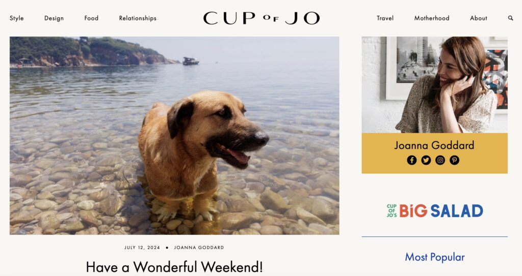 Lifestyle Blogger Example (Blogging About Anything Counterpoint)