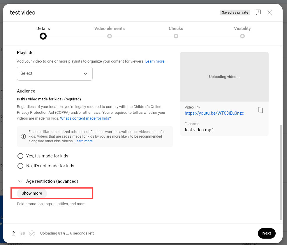 Pasting Your Tags Into YouTube Studio (Click the Show More Link)